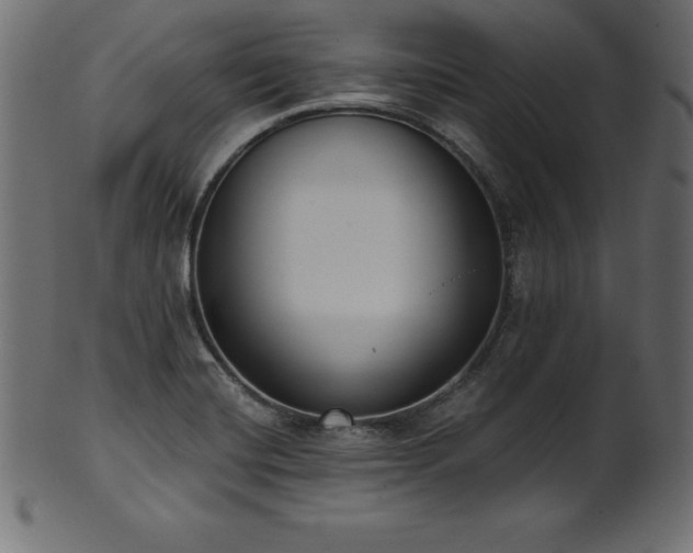 X0000102041420200807181502