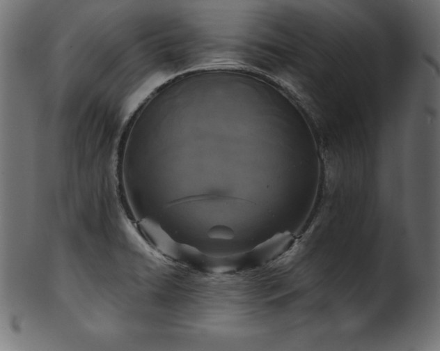 X0000102041422200807181502
