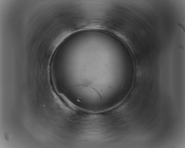 X0000102041423200807181502