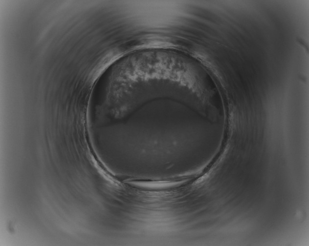 X0000102041425200807181502