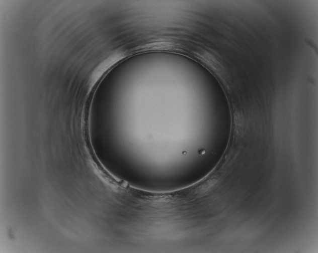 X0000102041426200807181502