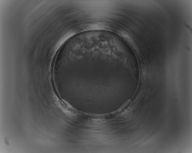 X0000102041427200807181502