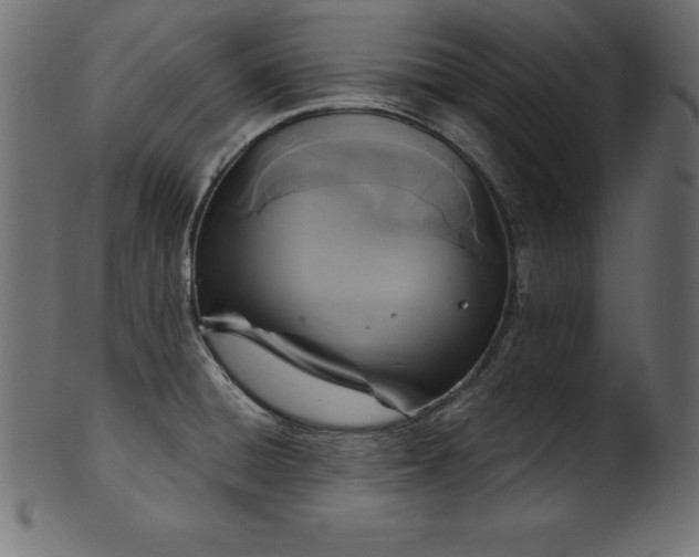 X0000102041428200807181502