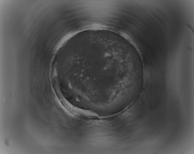 X0000102041429200807181502