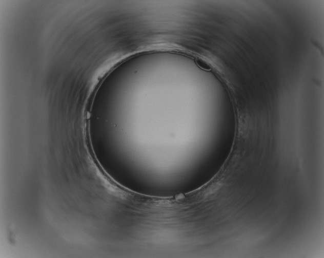 X0000102041430200807181502