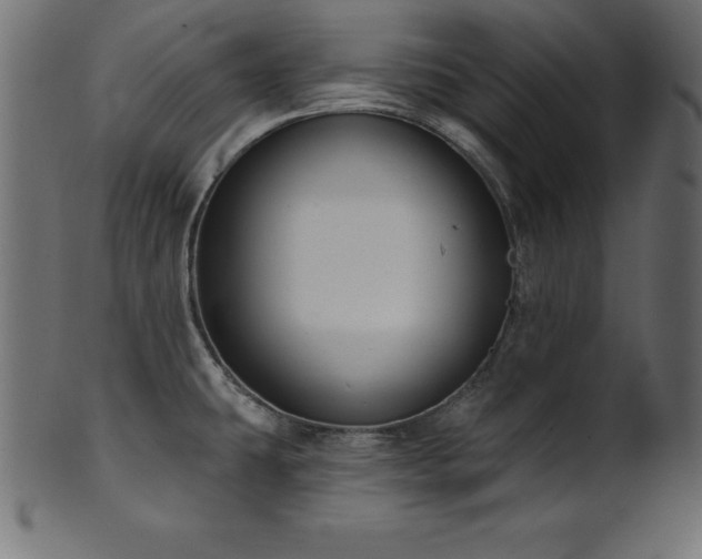X0000102041431200807181502