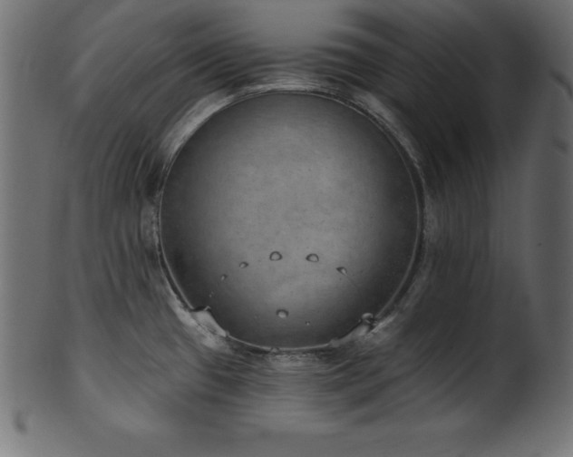 X0000102041433200807181503
