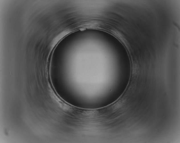 X0000102041434200807181503