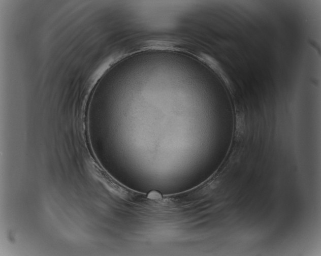 X0000102041435200807181503