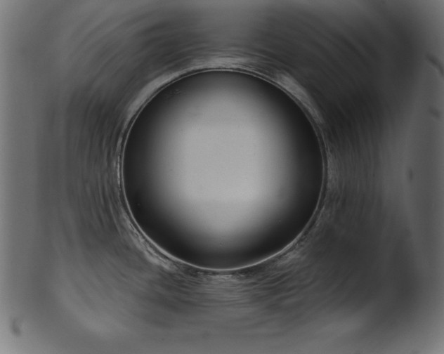 X0000102041436200807181503