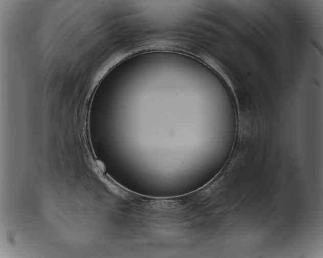 X0000102041437200807181503