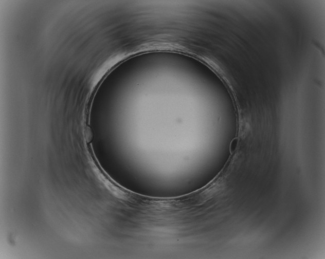 X0000102041438200807181503