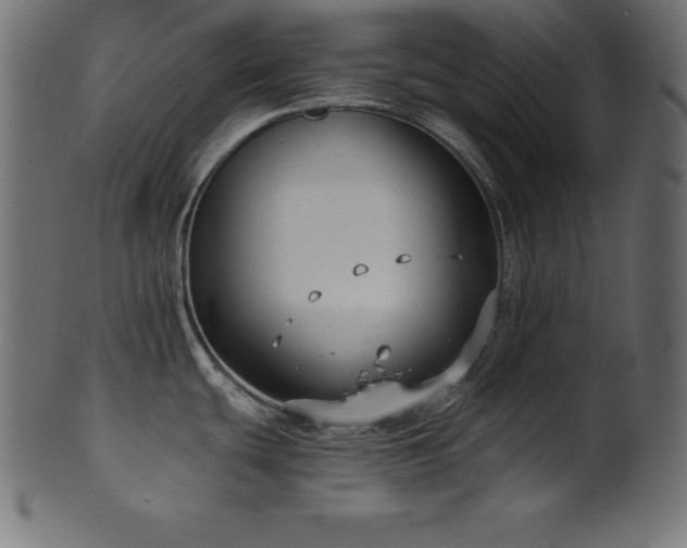 X0000102041439200807181503