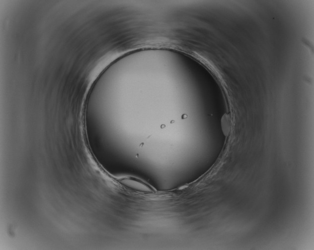 X0000102041440200807181503