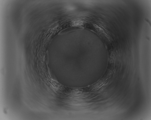 X0000102041441200807181502