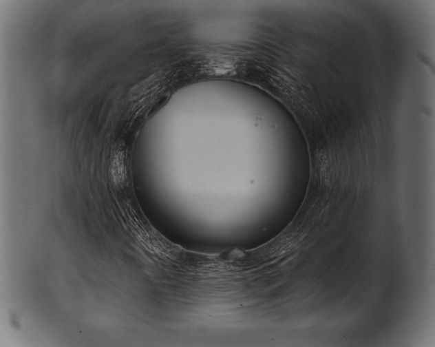 X0000102041442200807181502