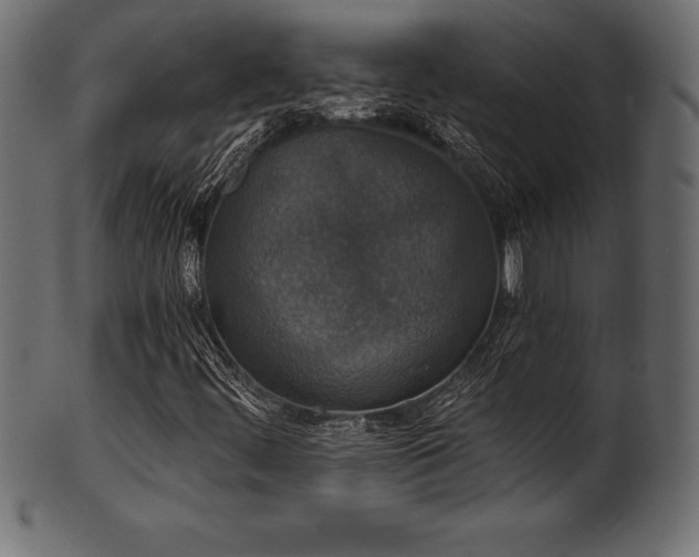 X0000102041444200807181502