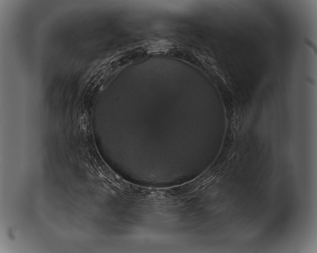 X0000102041445200807181502