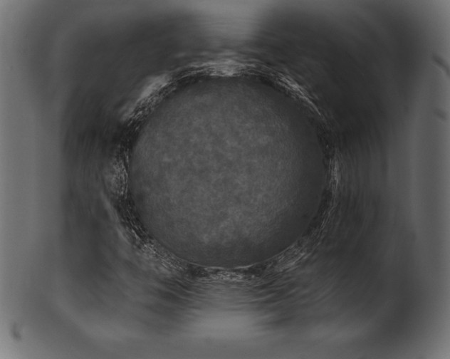 X0000102041446200807181502