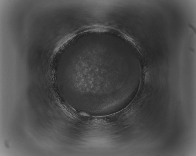 X0000102041448200807181502