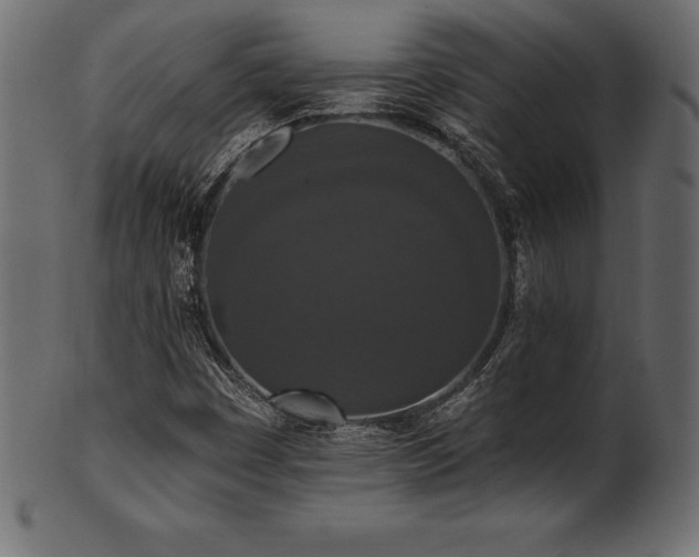 X0000102041449200807181502