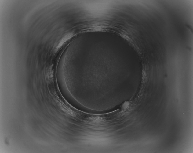 X0000102041450200807181502