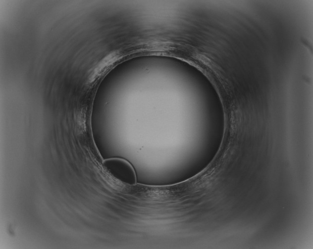 X0000102041451200807181502
