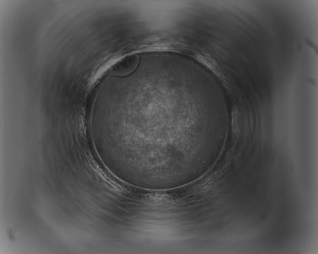 X0000102041452200807181502