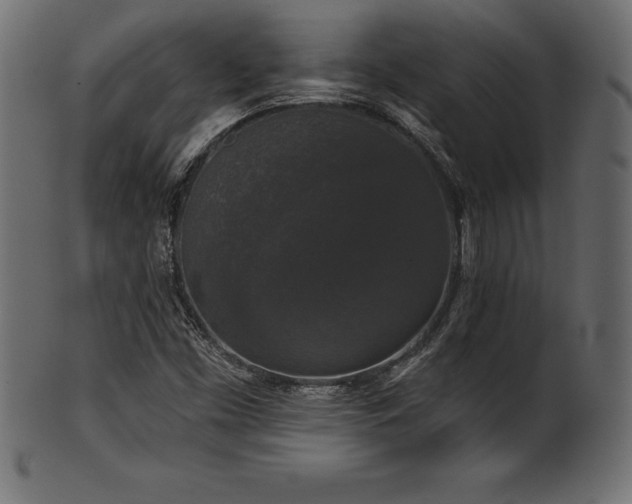 X0000102041453200807181502