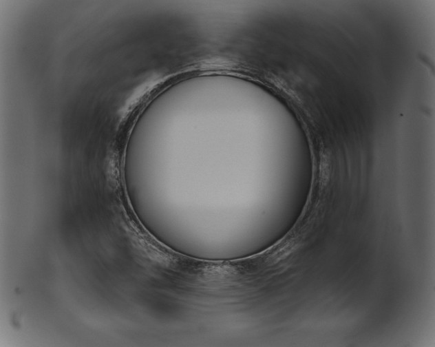 X0000102041454200807181502