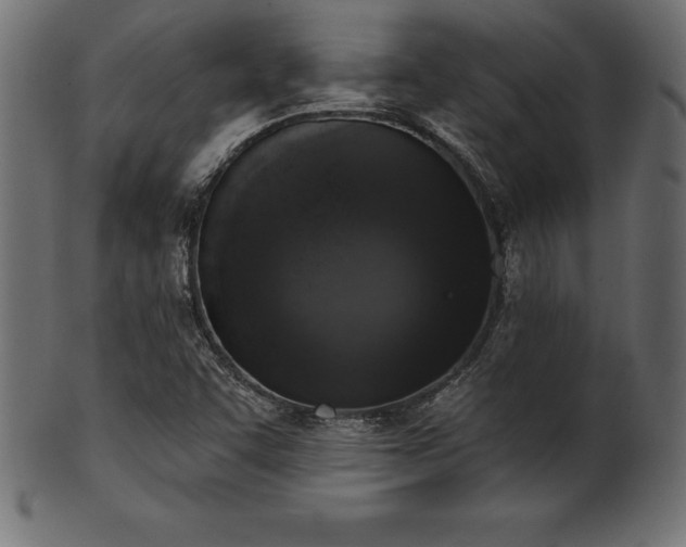 X0000102041455200807181502