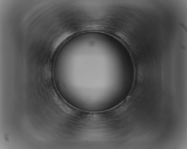 X0000102041458200807181502