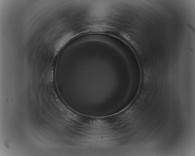 X0000102041459200807181502