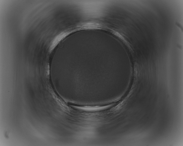 X0000102041461200807181502