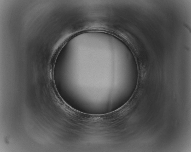 X0000102041462200807181502