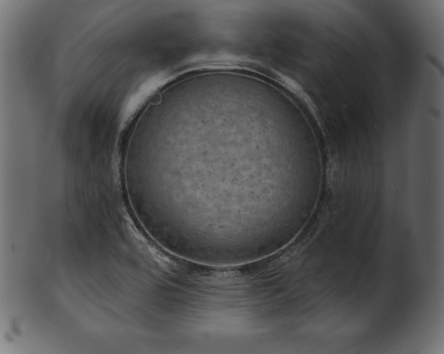 X0000102041464200807181502
