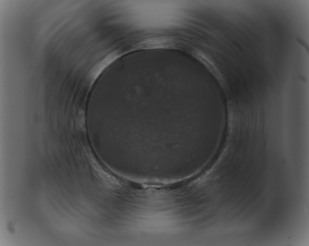 X0000102041465200807181502