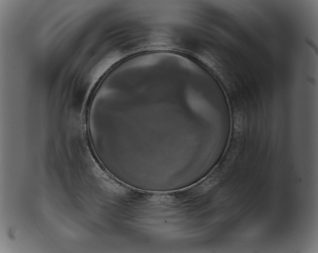 X0000102041466200807181502