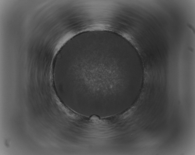 X0000102041469200807181502