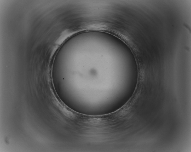 X0000102041470200807181502