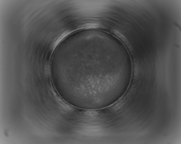 X0000102041473200807181501