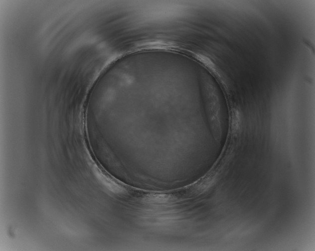 X0000102041474200807181501
