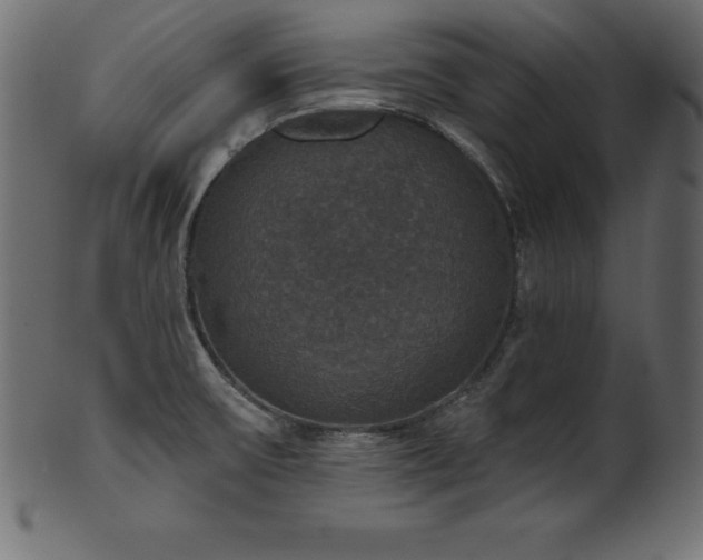 X0000102041475200807181501