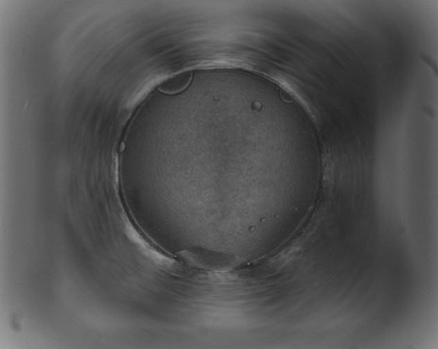 X0000102041476200807181501