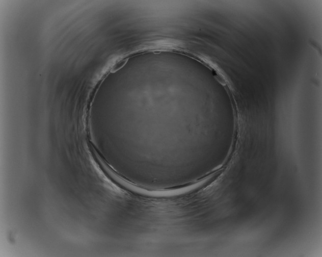 X0000102041477200807181501