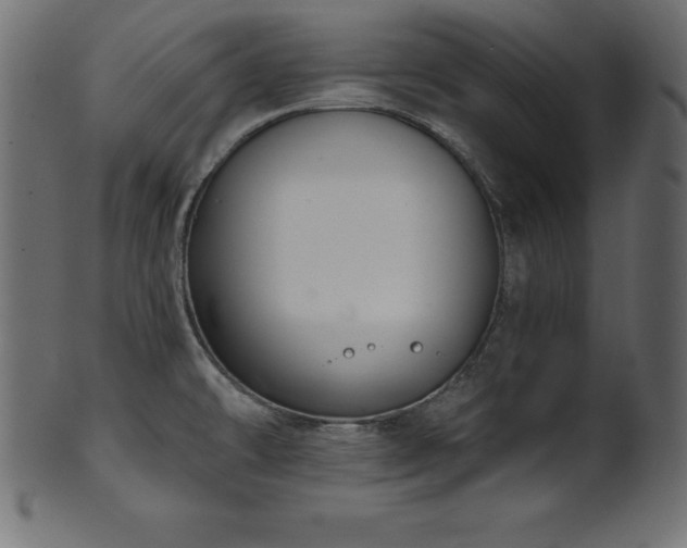 X0000102041478200807181501