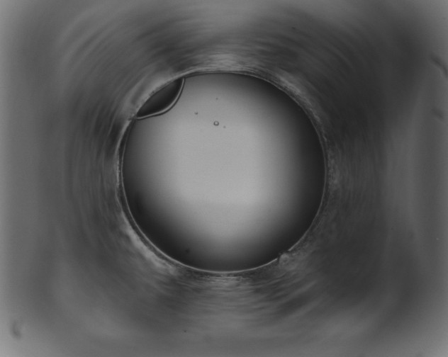 X0000102041479200807181501