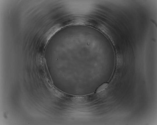 X0000102041481200807181501