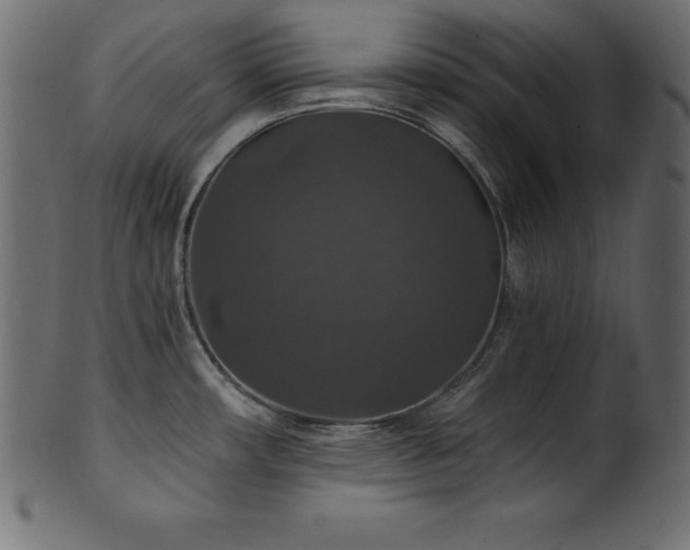 X0000102041482200807181501
