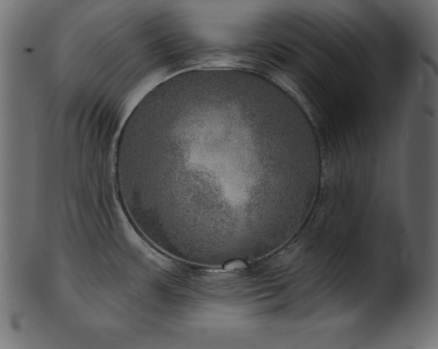 X0000102041483200807181501
